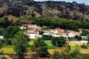 As questões da floresta e do mundo rural