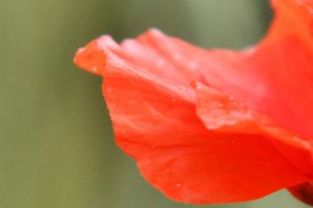 Vermelho eu – Colectiva.mente por esse Alentejo a.fora