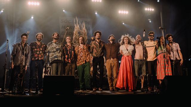 Rosa Mimosa Y Sus Mariposas